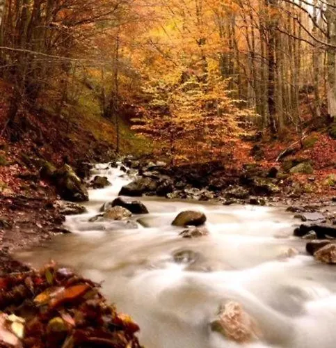 木屋 House Casini Di Corte