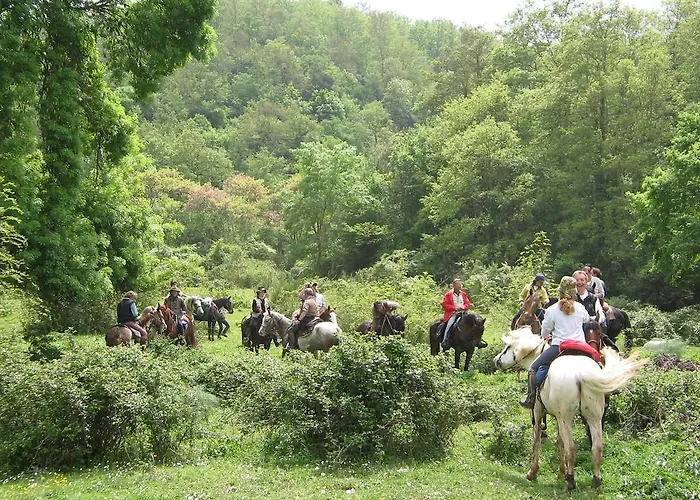 House Casini Di Corte 木屋 Corfino